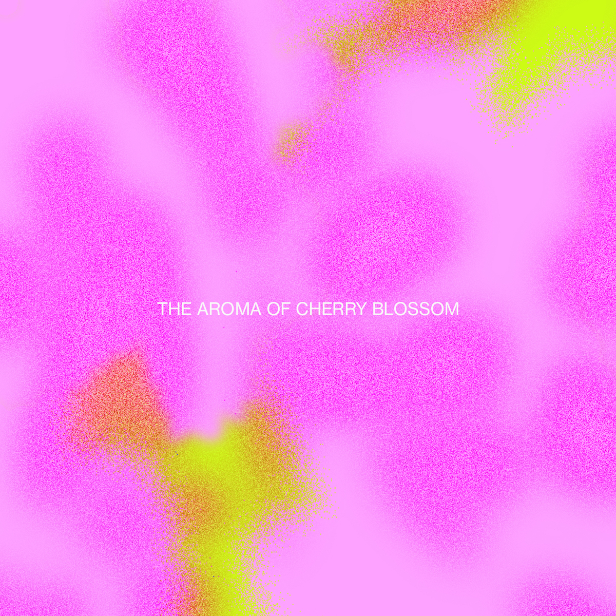 Cherry blossom_crop